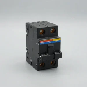 Double-Pole 20A Plug-On Circuit Breaker