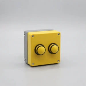 Heavy-Duty Dual Push Button Station